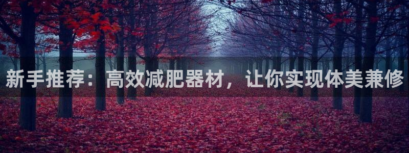 征途国际集团简介:新手推荐:高效减肥器材,让你实现体美兼修