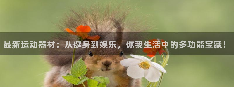 征途国际官网:最新运动器材:从健身到娱乐,你我生活中的多功能